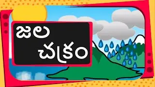Science -  What Is Water Cycle and how rain occurs -  Telugu