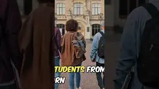 How to Utilize International Education for Cultural Exchange