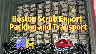 Boston SCRUB Factory Packing Made EASY!#scrublife