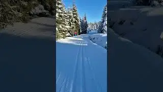 XC Skiing. Jakuszyce (Poland). Kradzione Drzewo (24) - Jelenia Łąka (23a).