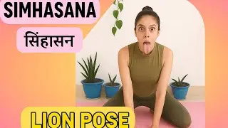 Simhasana(Lion Pose)Method In English|| Simhasana(Lion Pose)Steps In English || How to Do Simhasana