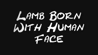 Lamb Born With Human Face