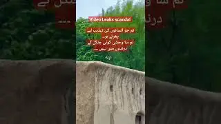 #viralvideo #viralshorts #scandalalert #imsha #socialreality #trending #pukar #socialissues #foryou