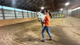 T&J Showmanship Series September  2025 Show: Nina Baldwin with Lacey