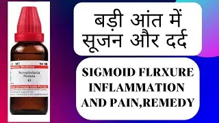 Sigmoid Flexure Inflammation and Pain What to do 🌺 Homeopathic Medicine 🌺