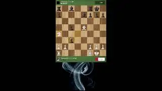 Live Online Chess Showdown