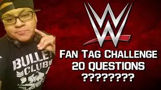 HEELSTEVEN : WWE FAN TAG CHALLENGE