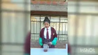 Proyecto: Jab&oacute;n Ecol&oacute;gico con Aceite Reciclado