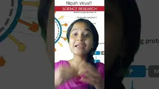 Unraveling the Nipah Virus: From Bats to Humans&nbsp;(Informative and engaging). #nipah #virus