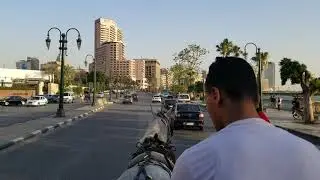 Cairo horse ride