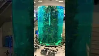One of the biggest fish tank tower | jeddah airport