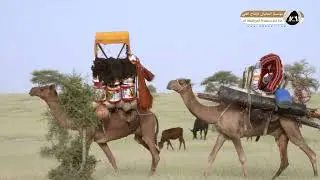 برومو فيلم تشاد المقيم والشاد الجزء الأول