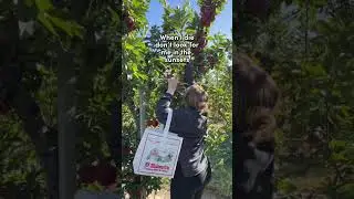 Tree Burial/Human Composting/Green Burial #ecofriendly #environmentalist #sustainability