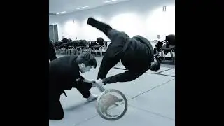 Classical Hapkido/jujutsu Technique