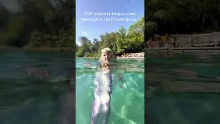 POV: You&rsquo;re Talking to a Real Mermaid in the Florida Springs