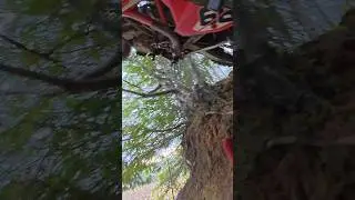 Survived the ride. Tough day, rough way. #betaxtrainer #pnw #washington #enduro #trailride #dirtbike