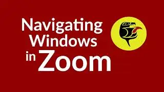 Navigating Different Windows in Zoom