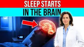 This SIMPLE ACT Signals Your BRAIN to SLEEP (Almost NO ONE Does This) | Tips to Sleep Well