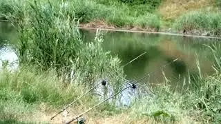 И опять на Кальмиусе 20190701