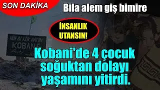 Kobane'de insanlık ağlıyor: Heyva Sor a Kurd: Soğuk hava nedeniyle 4 çocuk yaşamını yitirdi