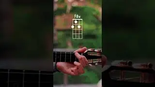How To Play 