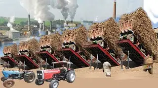 A visit to Asia's Biggest Sugar Mill !! World biggest sugar mill