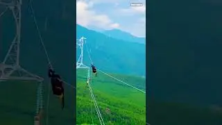 What does lineworker do on line #electrician #engineering #shorts