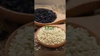 English translation of Til ( तिल )