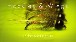 Fly Tying UV Hot Spot Nymph | Hackles & Wings