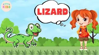 Lizard Facts For Kids 🦎 Learn All About Lizards | MON Kids
