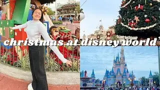 winter at disney world || disney world vlog