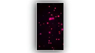 Template Video Background Full Screen | Particle Effect | Vn Status Editing Template New 2026