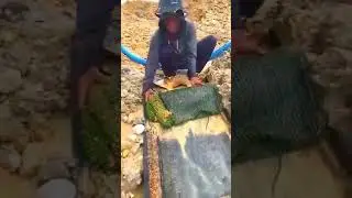 the process of traditional gold mining
