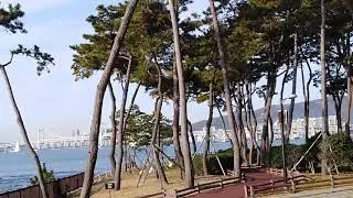 Busan 2005 Apec Exh. Hall 13.12.2019