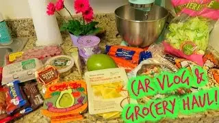 CAR VLOG + GROCERY HAUL! | Lindsey's Life