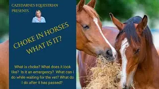 CHOKE IN HORSES