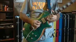 Warrant - Cherry Pie  (solo cover)