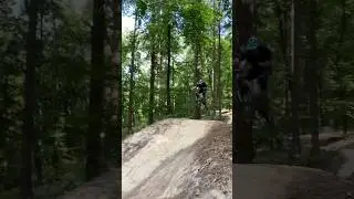EPIC FLOWTRAIL MOSBACH #epic #mtb #mtblife #flowtrail #downhill #youtubeshorts #youtube