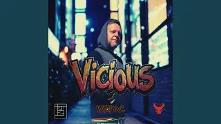 Vicious (Radio Edit)