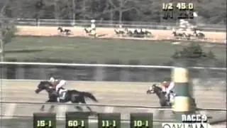 1996 Arkansas Derby - Zarb's Magic