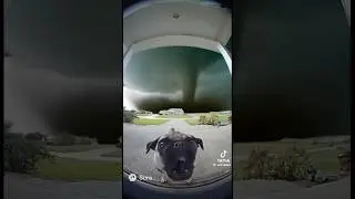 Быстрый! Помойте ему животооооооооооооооооооооооооооооооооооооооооооооооооооооооооооооооооооооооо...