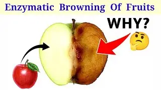 Enzymatic Browning Of Fruits / Why Apple Become Brown After Cut?