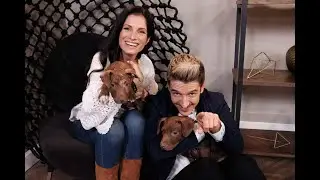 Afternoon Express - Danilo Acquisto chats with JustOneThing365 founder Petra Laranjo, 23 April 2018