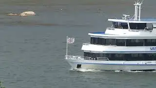 Shipspotting on the Rhine Part 1749
