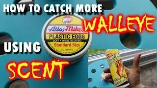 How to Catch more Walleye Tips and Tricks - ADVANTAGES of SCENT Walleye Fishing