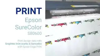 Epson Edge Print Software with Graphtec Cutters - Seamless Print and Cut Workflow