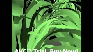 Grass Animation
