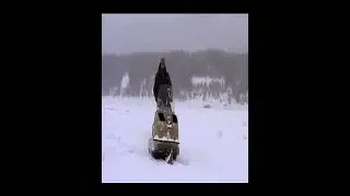 ᴏᴘᴇɴɪɴɢ ꜱᴄᴇɴᴇ Happy People: a Year in the Taiga (2010)