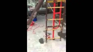 Donley's Safety Audit Video