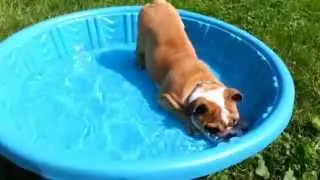 Coach K Enjoying a dip